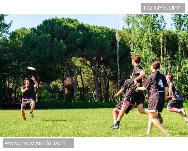 飞盘热潮来袭：深入了解北京飞盘队的训练与比赛状态